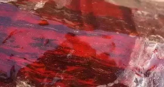 1578987392544073.jpg 5.jpg