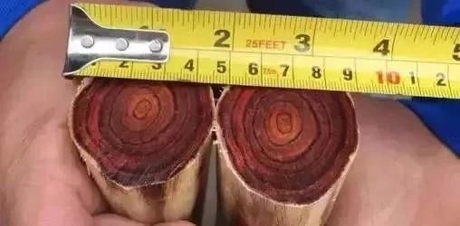 1578988361711384.png image.png