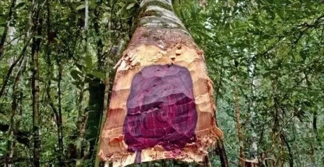 1578989553689068.png image.png