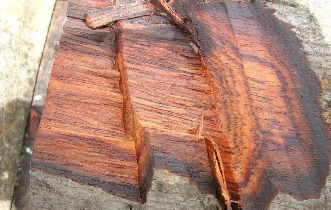 1578989870808494.png image.png