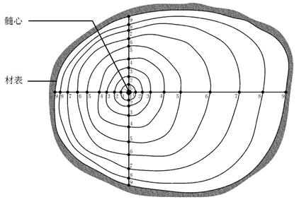 1591435251421264.jpg 圖片1.jpg